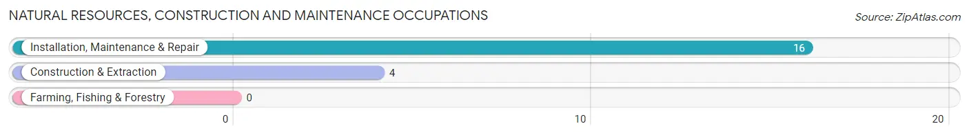Natural Resources, Construction and Maintenance Occupations in Zip Code 41855
