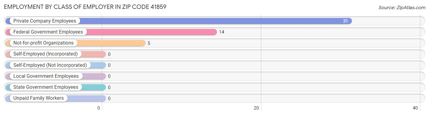 Employment by Class of Employer in Zip Code 41859