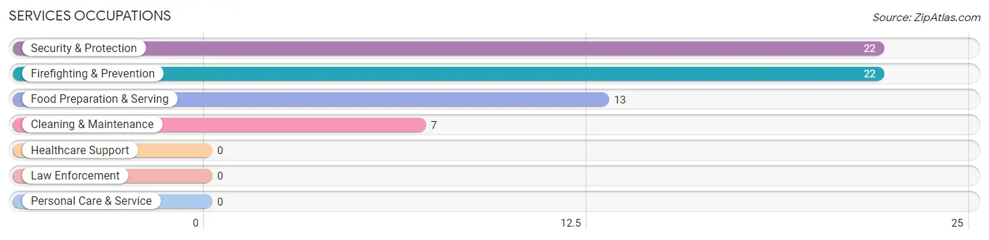 Services Occupations in Zip Code 41862