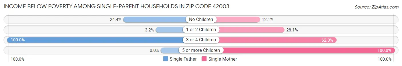 Income Below Poverty Among Single-Parent Households in Zip Code 42003