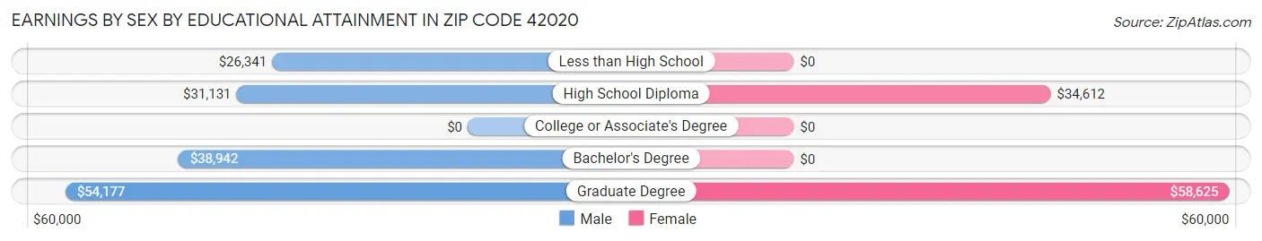 Earnings by Sex by Educational Attainment in Zip Code 42020