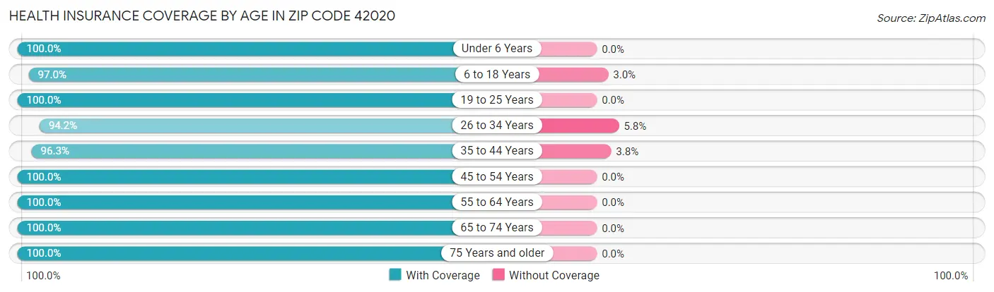 Health Insurance Coverage by Age in Zip Code 42020