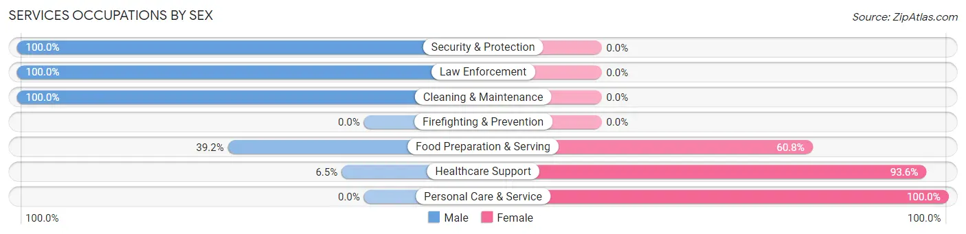 Services Occupations by Sex in Zip Code 42020