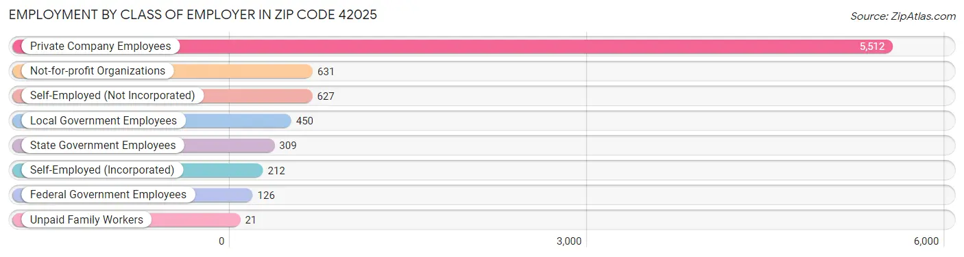 Employment by Class of Employer in Zip Code 42025