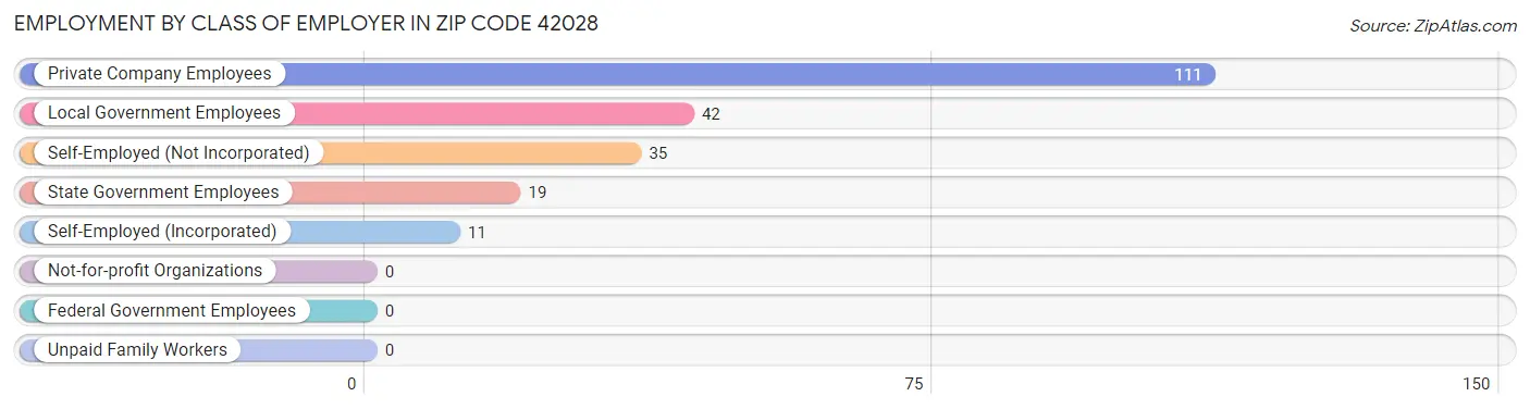 Employment by Class of Employer in Zip Code 42028
