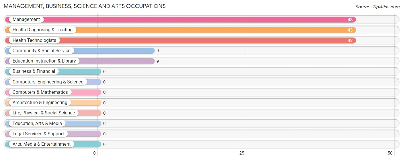 Management, Business, Science and Arts Occupations in Zip Code 42028