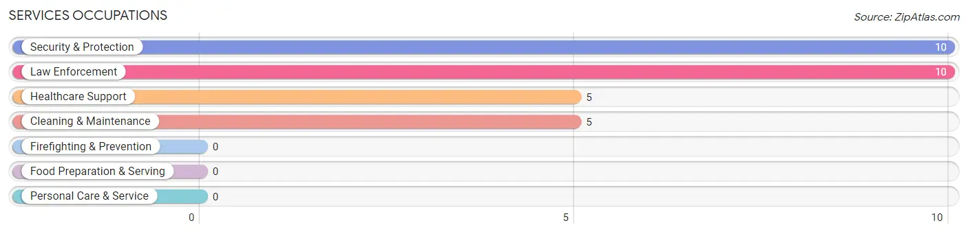Services Occupations in Zip Code 42028
