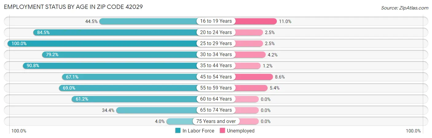 Employment Status by Age in Zip Code 42029