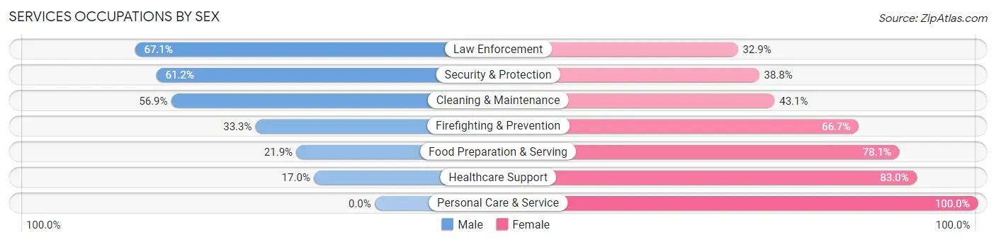 Services Occupations by Sex in Zip Code 42029
