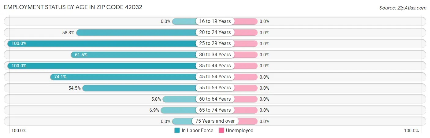 Employment Status by Age in Zip Code 42032