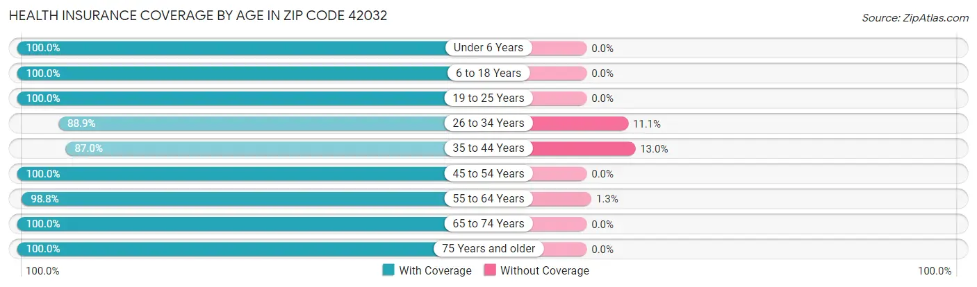 Health Insurance Coverage by Age in Zip Code 42032