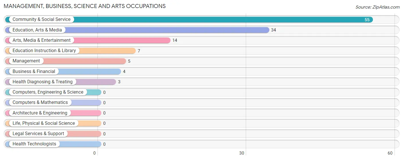 Management, Business, Science and Arts Occupations in Zip Code 42035