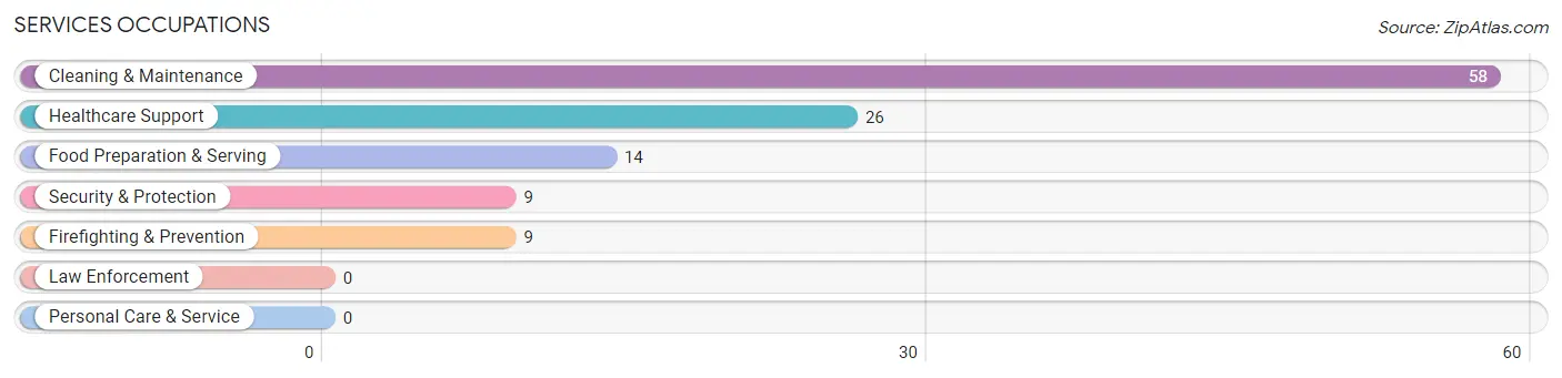 Services Occupations in Zip Code 42035