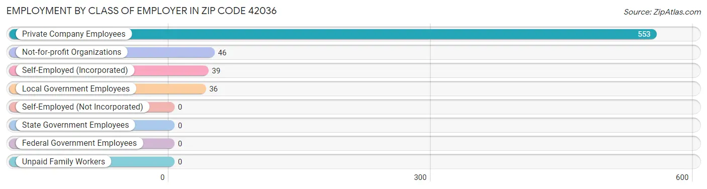 Employment by Class of Employer in Zip Code 42036
