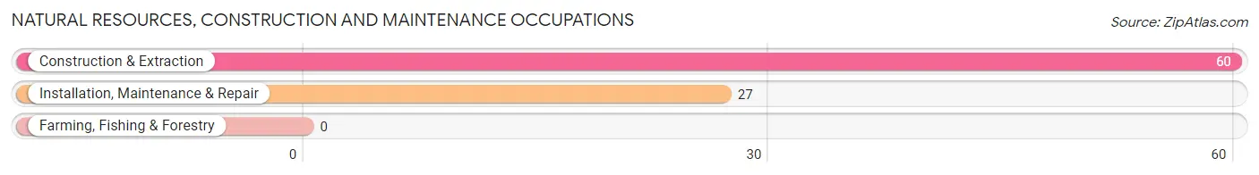 Natural Resources, Construction and Maintenance Occupations in Zip Code 42036