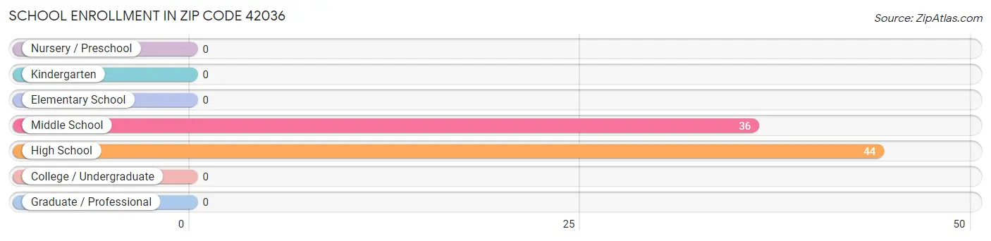 School Enrollment in Zip Code 42036