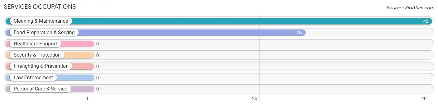 Services Occupations in Zip Code 42036