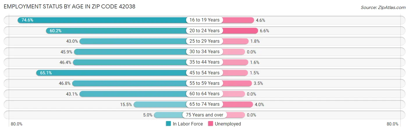 Employment Status by Age in Zip Code 42038