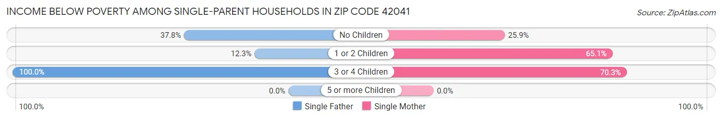 Income Below Poverty Among Single-Parent Households in Zip Code 42041