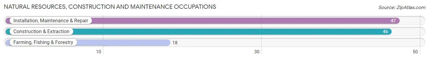 Natural Resources, Construction and Maintenance Occupations in Zip Code 42041