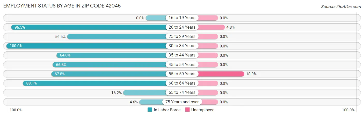 Employment Status by Age in Zip Code 42045