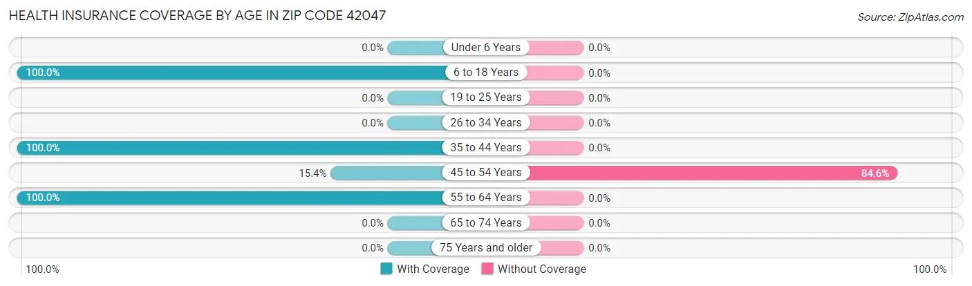 Health Insurance Coverage by Age in Zip Code 42047