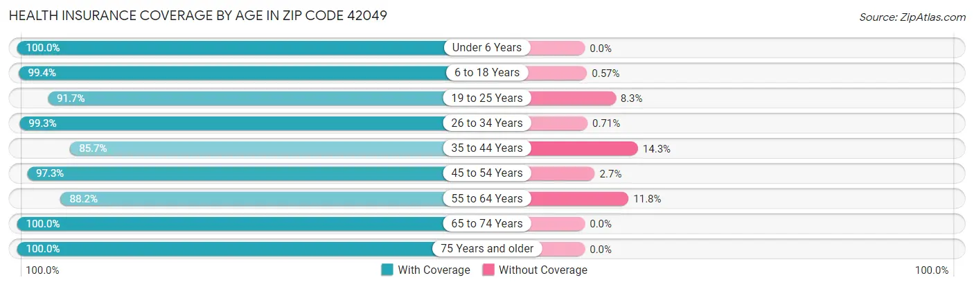 Health Insurance Coverage by Age in Zip Code 42049