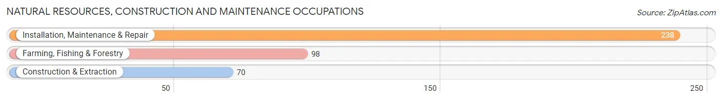 Natural Resources, Construction and Maintenance Occupations in Zip Code 42051