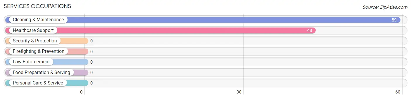 Services Occupations in Zip Code 42051
