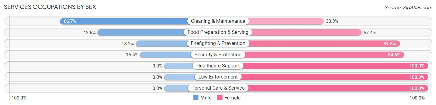Services Occupations by Sex in Zip Code 42053