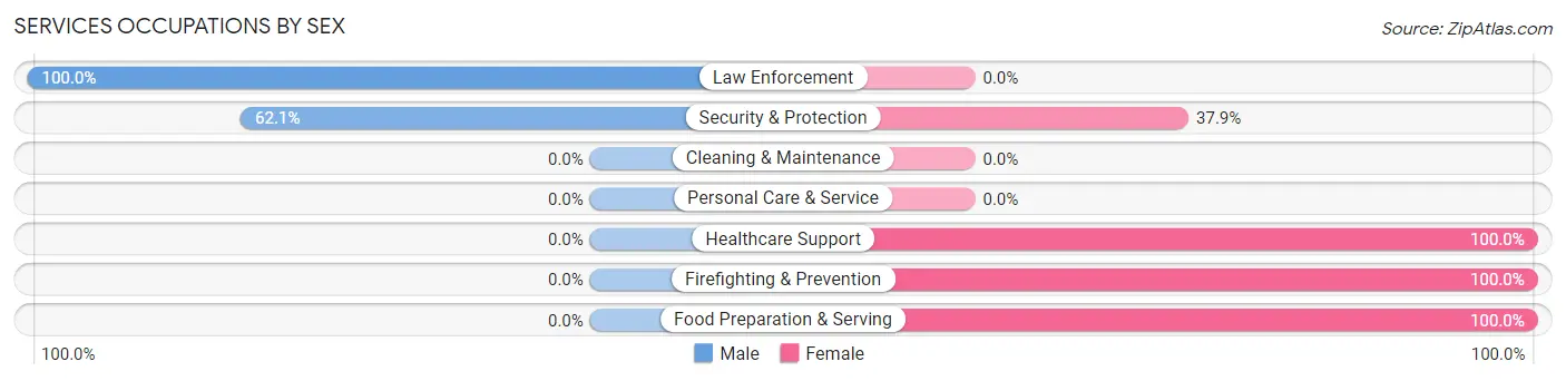 Services Occupations by Sex in Zip Code 42054