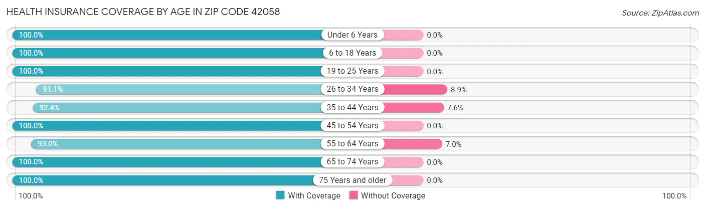 Health Insurance Coverage by Age in Zip Code 42058