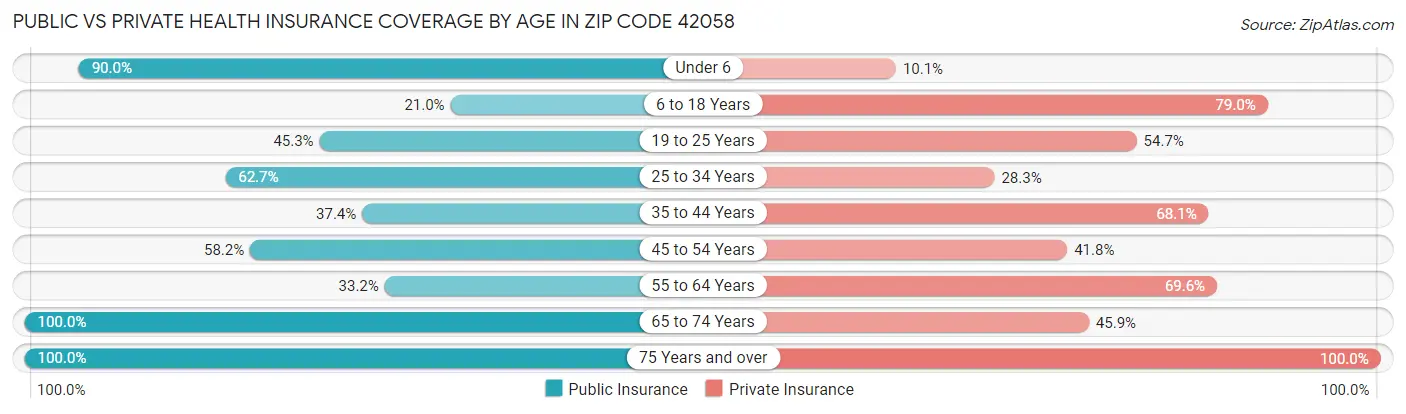 Public vs Private Health Insurance Coverage by Age in Zip Code 42058