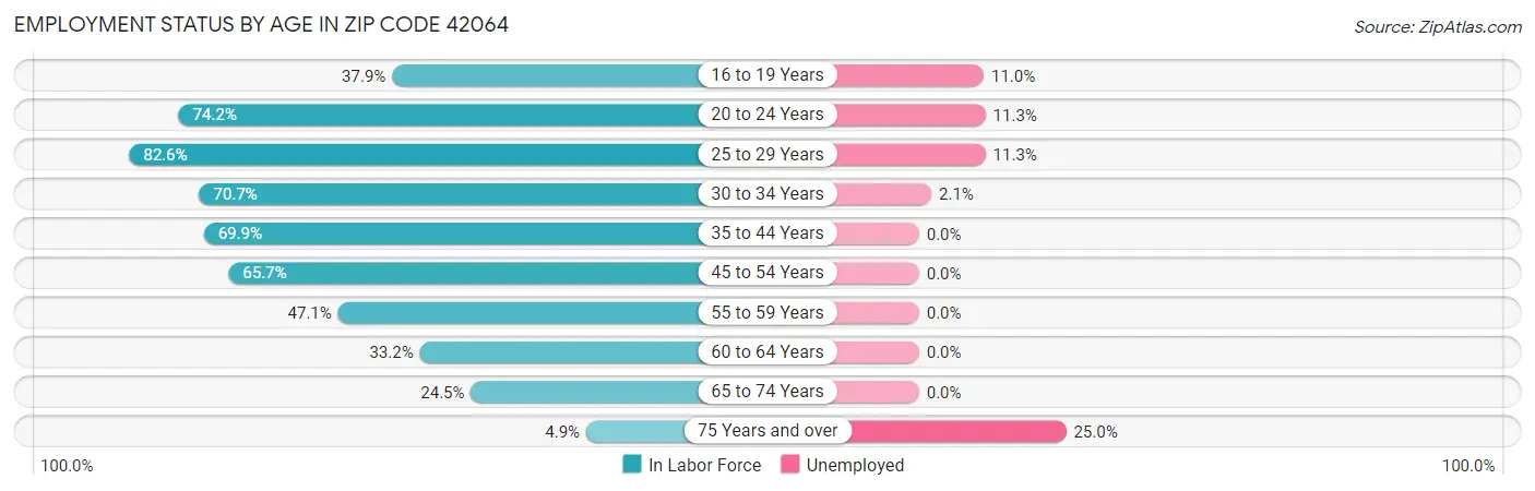 Employment Status by Age in Zip Code 42064