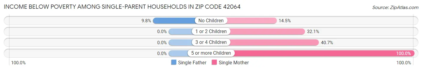 Income Below Poverty Among Single-Parent Households in Zip Code 42064