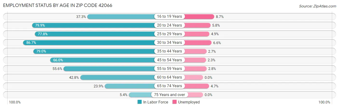 Employment Status by Age in Zip Code 42066
