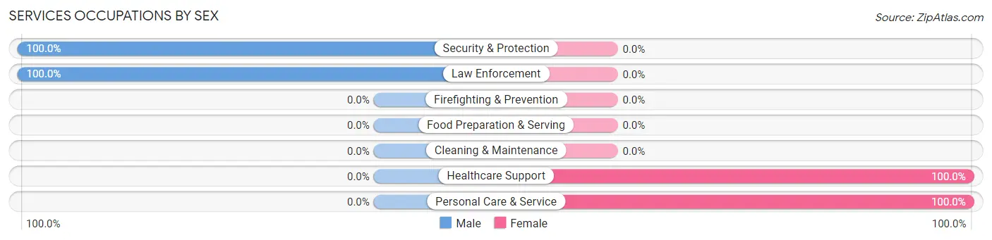 Services Occupations by Sex in Zip Code 42079