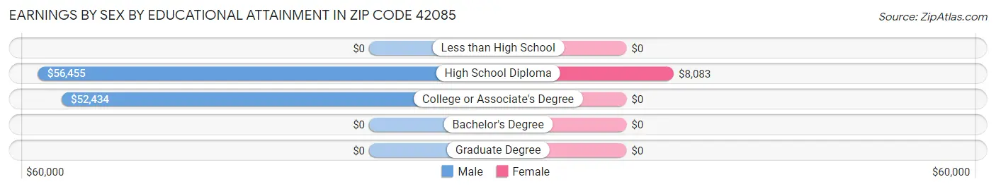 Earnings by Sex by Educational Attainment in Zip Code 42085