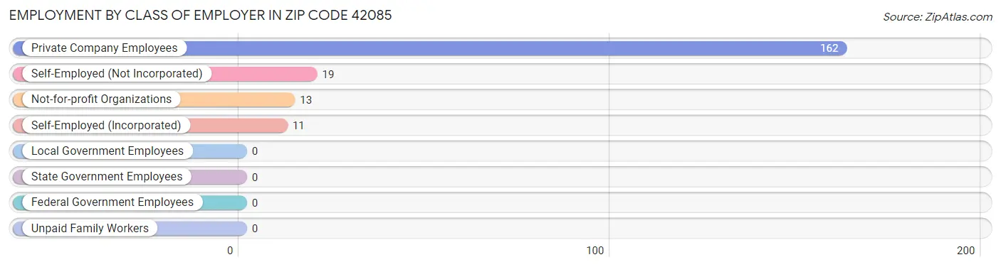 Employment by Class of Employer in Zip Code 42085