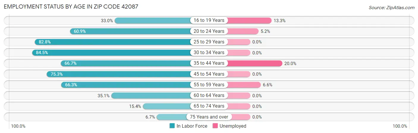 Employment Status by Age in Zip Code 42087