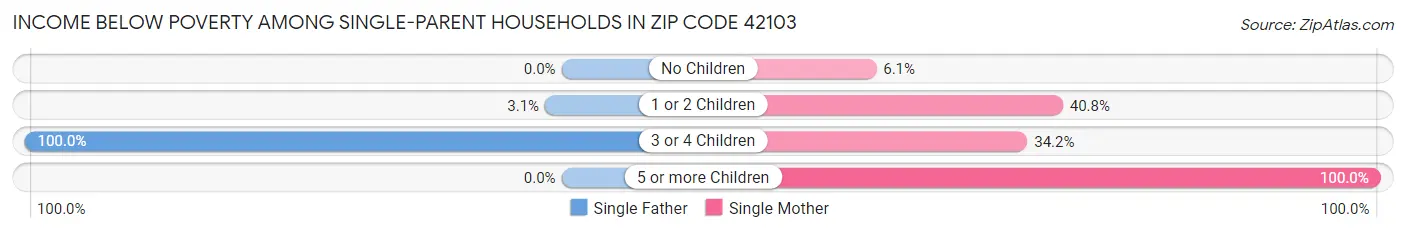 Income Below Poverty Among Single-Parent Households in Zip Code 42103