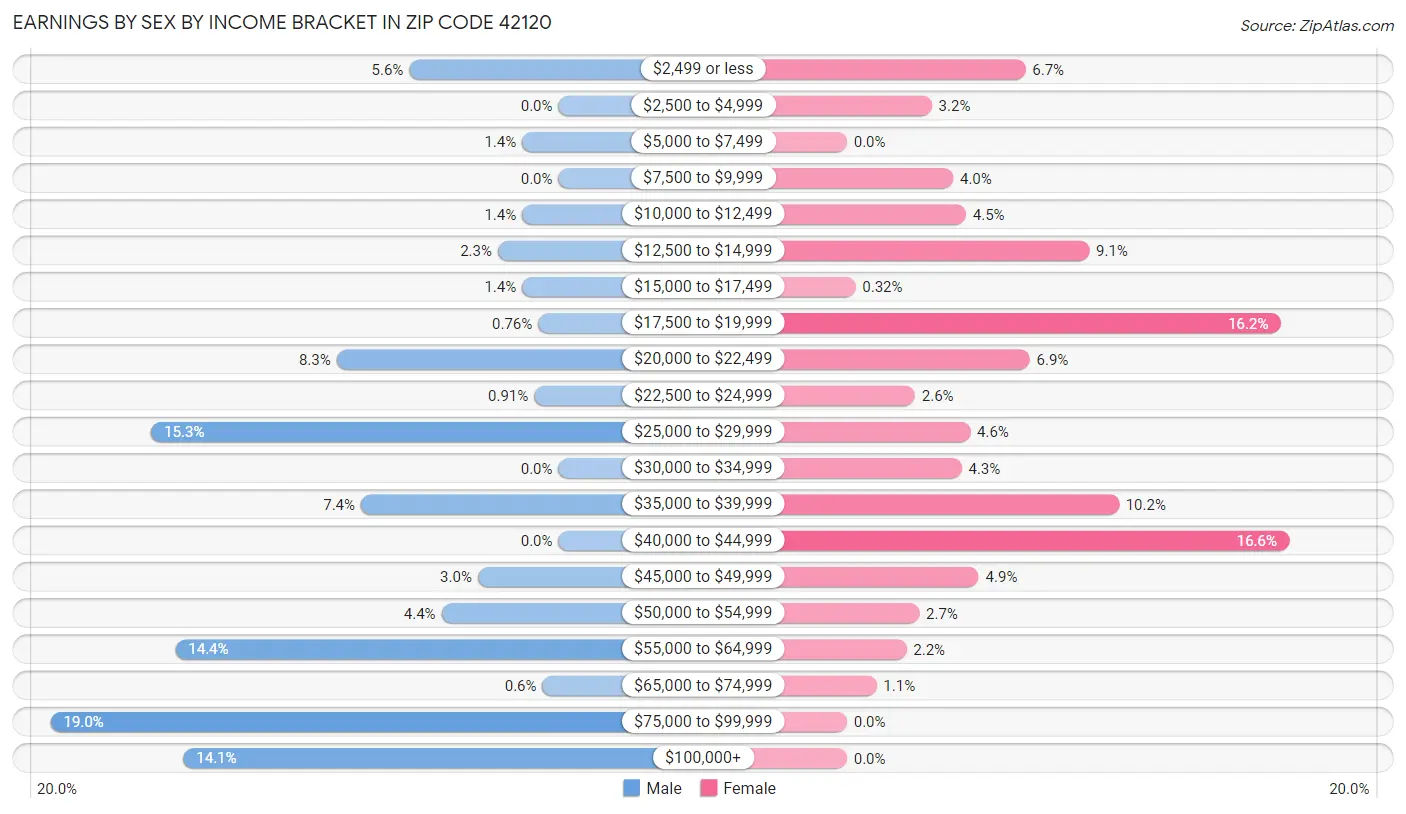 Earnings by Sex by Income Bracket in Zip Code 42120