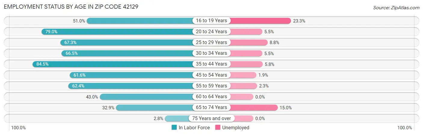 Employment Status by Age in Zip Code 42129