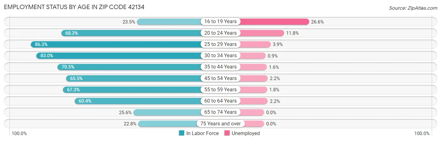 Employment Status by Age in Zip Code 42134