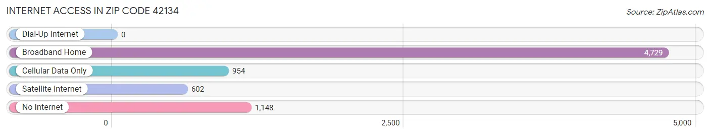 Internet Access in Zip Code 42134