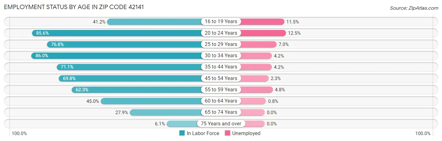 Employment Status by Age in Zip Code 42141