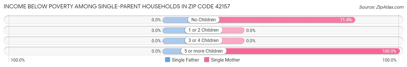 Income Below Poverty Among Single-Parent Households in Zip Code 42157