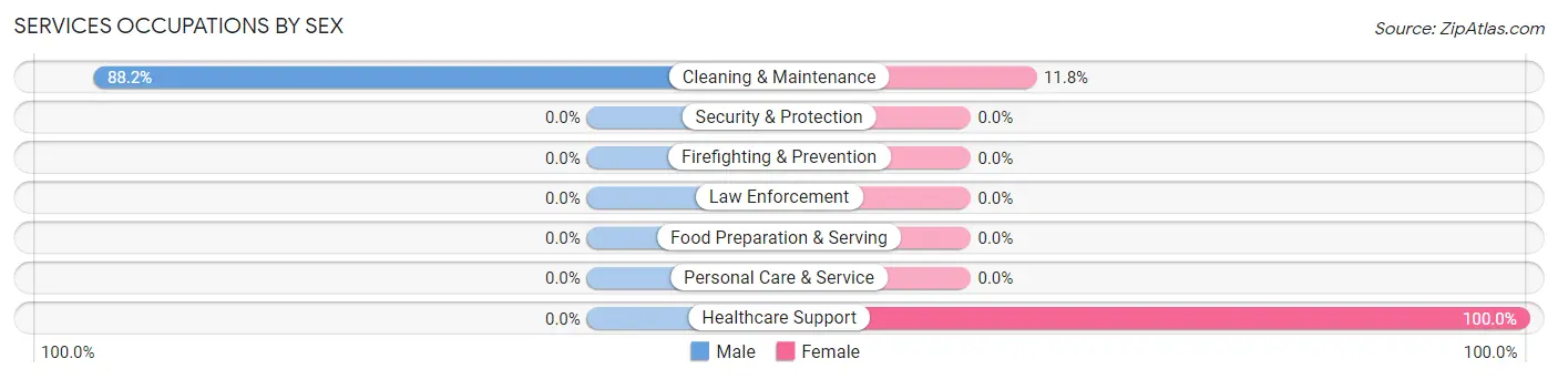 Services Occupations by Sex in Zip Code 42170