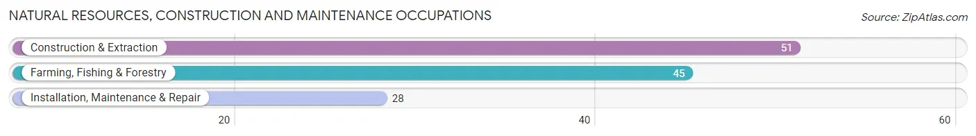 Natural Resources, Construction and Maintenance Occupations in Zip Code 42202