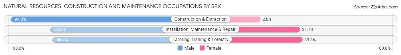 Natural Resources, Construction and Maintenance Occupations by Sex in Zip Code 42211